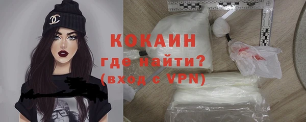 mdpv Бородино