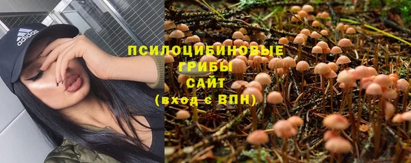 амф Бугульма