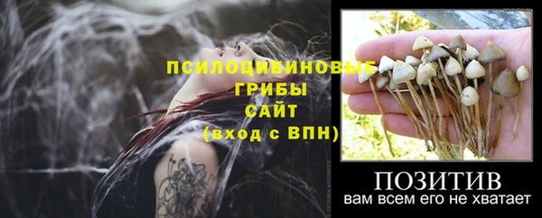 mdpv Бородино
